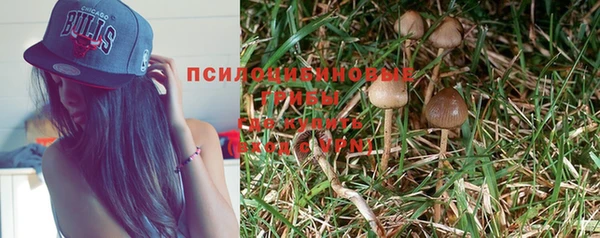 кокаин премиум Алексеевка