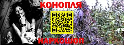 apvp Беслан